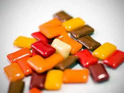 Whippet : Aliments et plantes toxiques :  des tablettes de xylitol (chewing-gums sans sucre) de différentes couleurs.