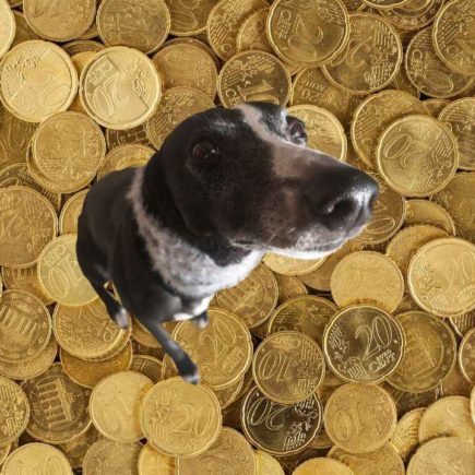 Vivre une vie pleine et riche grâce à mon Whippet ! Un Whippet, tête inclinée avec un regard intelligent et attentif, émergeant d'un fond composé d'une multitude de pièces d'or brillantes. Cette image évoque le titre "Vivre une vie pleine et riche grâce à mon Whippet !", suggérant que la compagnie de ce chien peut mener à une forme d'abondance et de richesse qui dépasse le matériel.