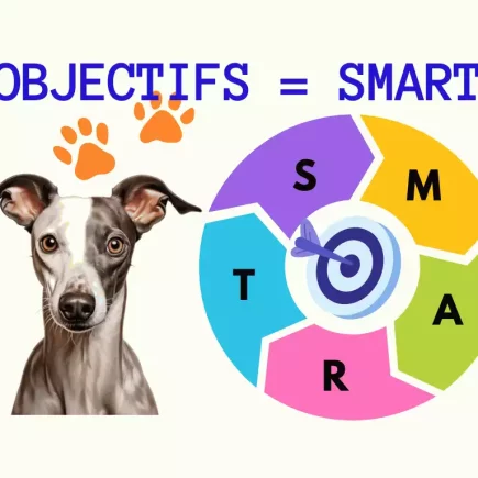 La méthode SMART avec votre Whippet : un diagramme coloré représentant la méthode SMART, avec chaque lettre de l'acronyme SMART attribuée à une section distincte d'un cercle. Chaque section est colorée différemment — le "S" en violet, le "M" en jaune, l'"A" en vert, le "R" en rose, et le "T" en bleu. Au centre du cercle, une cible avec une flèche indique le point focal de l'objectif. En haut de l'image, le texte "OBJECTIFS = SMART" est visible, soulignant l'équivalence entre les objectifs et la méthode SMART. Deux empreintes de chien ornent le texte, renforçant le thème canin. Au bas du cercle, un Whippet au regard attentif et aux grandes oreilles dressées semble observer le spectateur, ajoutant une touche personnelle à l'infographie.