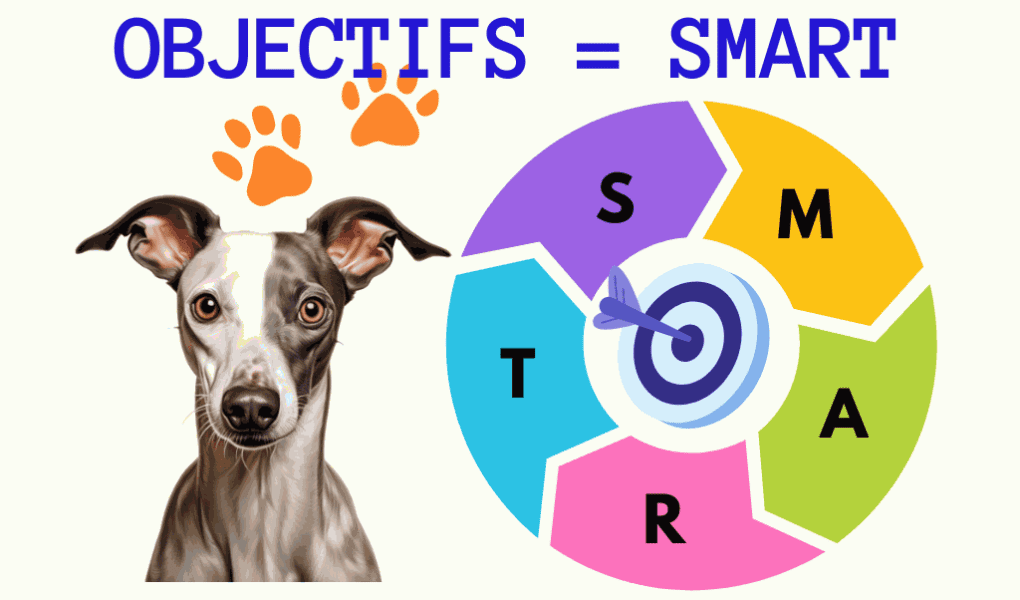 La méthode SMART avec votre Whippet : un diagramme coloré représentant la méthode SMART, avec chaque lettre de l'acronyme SMART attribuée à une section distincte d'un cercle. Chaque section est colorée différemment — le "S" en violet, le "M" en jaune, l'"A" en vert, le "R" en rose, et le "T" en bleu. Au centre du cercle, une cible avec une flèche indique le point focal de l'objectif. En haut de l'image, le texte "OBJECTIFS = SMART" est visible, soulignant l'équivalence entre les objectifs et la méthode SMART. Deux empreintes de chien ornent le texte, renforçant le thème canin. Au bas du cercle, un Whippet au regard attentif et aux grandes oreilles dressées semble observer le spectateur, ajoutant une touche personnelle à l'infographie.