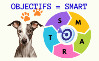La méthode SMART avec votre Whippet : un diagramme coloré représentant la méthode SMART, avec chaque lettre de l'acronyme SMART attribuée à une section distincte d'un cercle. Chaque section est colorée différemment — le "S" en violet, le "M" en jaune, l'"A" en vert, le "R" en rose, et le "T" en bleu. Au centre du cercle, une cible avec une flèche indique le point focal de l'objectif. En haut de l'image, le texte "OBJECTIFS = SMART" est visible, soulignant l'équivalence entre les objectifs et la méthode SMART. Deux empreintes de chien ornent le texte, renforçant le thème canin. Au bas du cercle, un Whippet au regard attentif et aux grandes oreilles dressées semble observer le spectateur, ajoutant une touche personnelle à l'infographie.