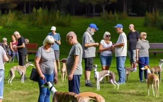 Bâtir une communauté : Un moment chaleureux où des passionnés de Whippets partagent leur amour pour ces élégants chiens dans un parc, illustrant parfaitement comment une passion commune peut unir diverses personnes et enrichir leurs vies.