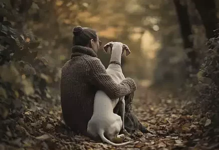 Son odeur après la pluie : Un moment de complicité entre un maître et son Whippet, assis dans un sentier forestier couvert de feuilles d'automne. Dans une atmosphère douce et paisible, les deux regardent vers l’horizon, symbolisant la sérénité et la profondeur de leur lien.