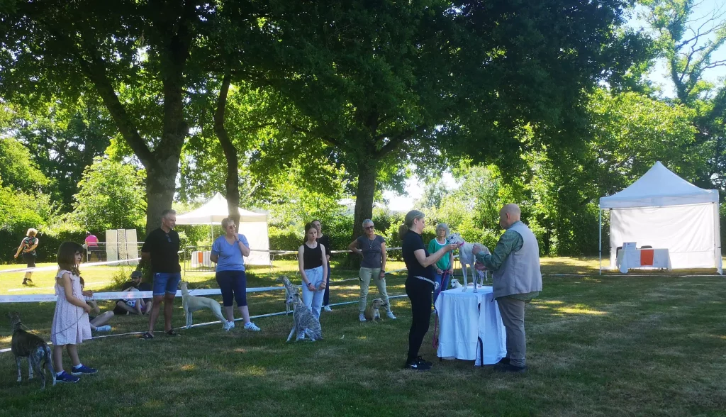 Atelier de prĂ©sentation canine en plein air lors des Whippetâs Days 2025 : des participants attentifs, chiens en laisse, Ă©coutent les conseils dâun formateur, sous les arbres et le soleil de Vieure.