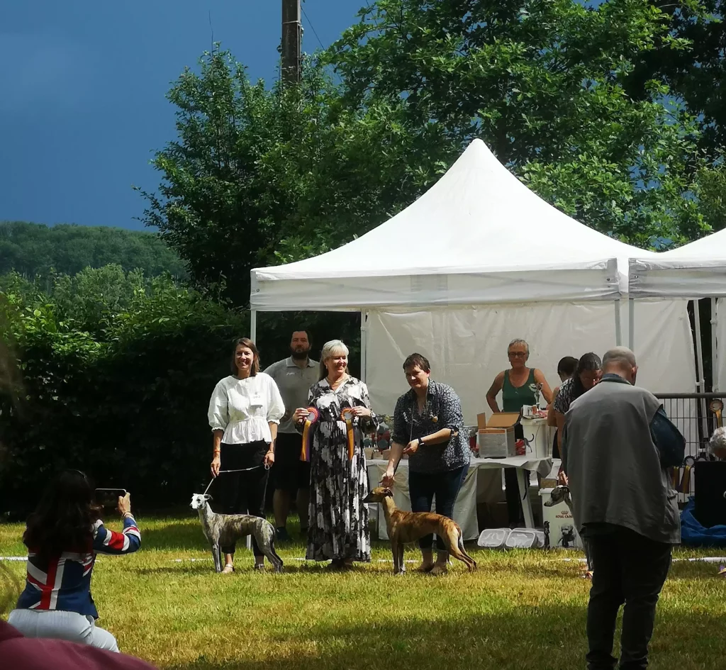 Remise de prix sous un chapiteau blanc pendant la Nationale dâĂlevage 2025 Ă Vieure : deux Whippets posent aux cĂŽtĂ©s de leurs prĂ©sentatrices, juges et membres de lâorganisation, sous un ciel orageux et une lumiĂšre contrastĂ©e.