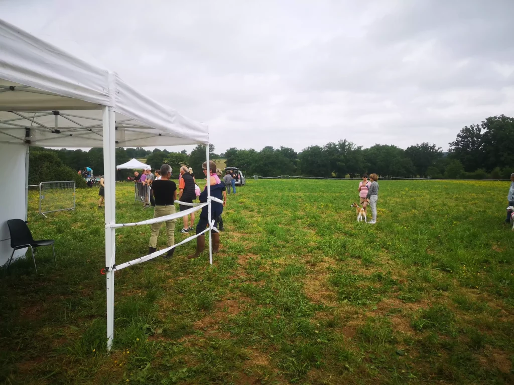 Début de la Poursuite à Vue sur Leurre des WD 2025 à Vieure : participants et Whippets attendent leur passage dans un champ balisé, sous un ciel nuageux et une ambiance sportive détendue.