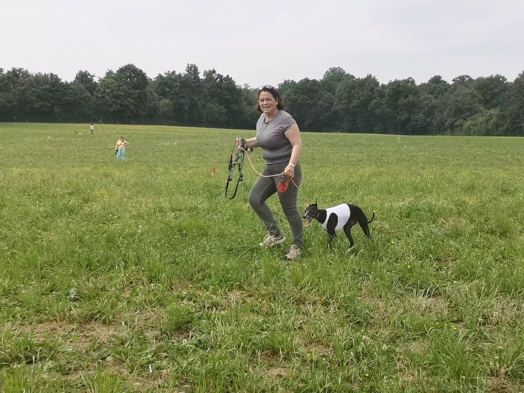 Whippet's Days 2025 : Une participante revenant sur le terrain aprĂšs une course de PVL Ă Vieure, tenant un Whippet noir et blanc vĂȘtu dâun dossard, visiblement ravi de sa performance.