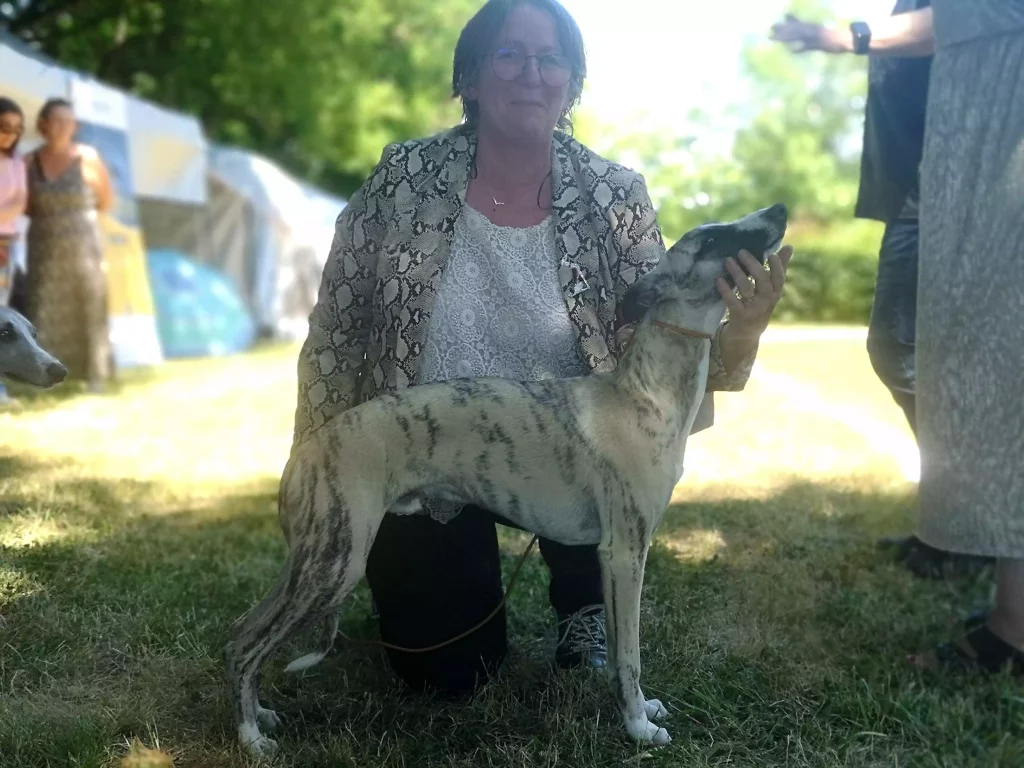 Femme accroupie en tenue Ă©lĂ©gante prĂ©sentant un jeune Whippet bringĂ© clair, en position dâexposition, lors des Whippetâs Days 2025. Le chien lĂšve la tĂȘte vers elle avec confiance.