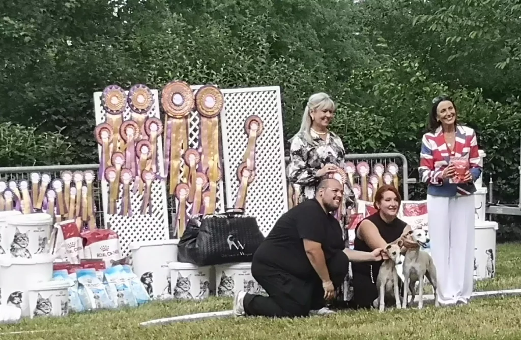 Remise des prix lors de la Nationale d'Elevage 2025 à Vieure : deux Whippets posent avec leurs présentateurs devant un mur de rosettes violettes et dorées, entourés de juges souriantes et de sacs de récompenses.