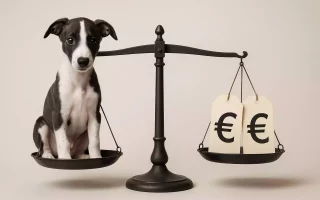 Prix d’un chiot Whippet : chiot Whippet sur une balance face à des étiquettes en euros, illustration des écarts de prix.