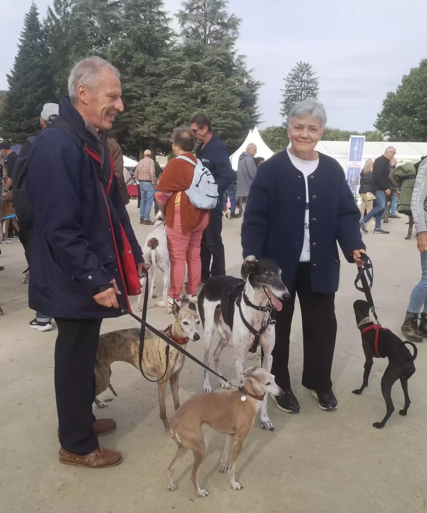 Les propriétaires de plusieurs lévriers : Whippets, Galgo et Petit Lévrier Italien au milieu de la foule sur la grande carrière.