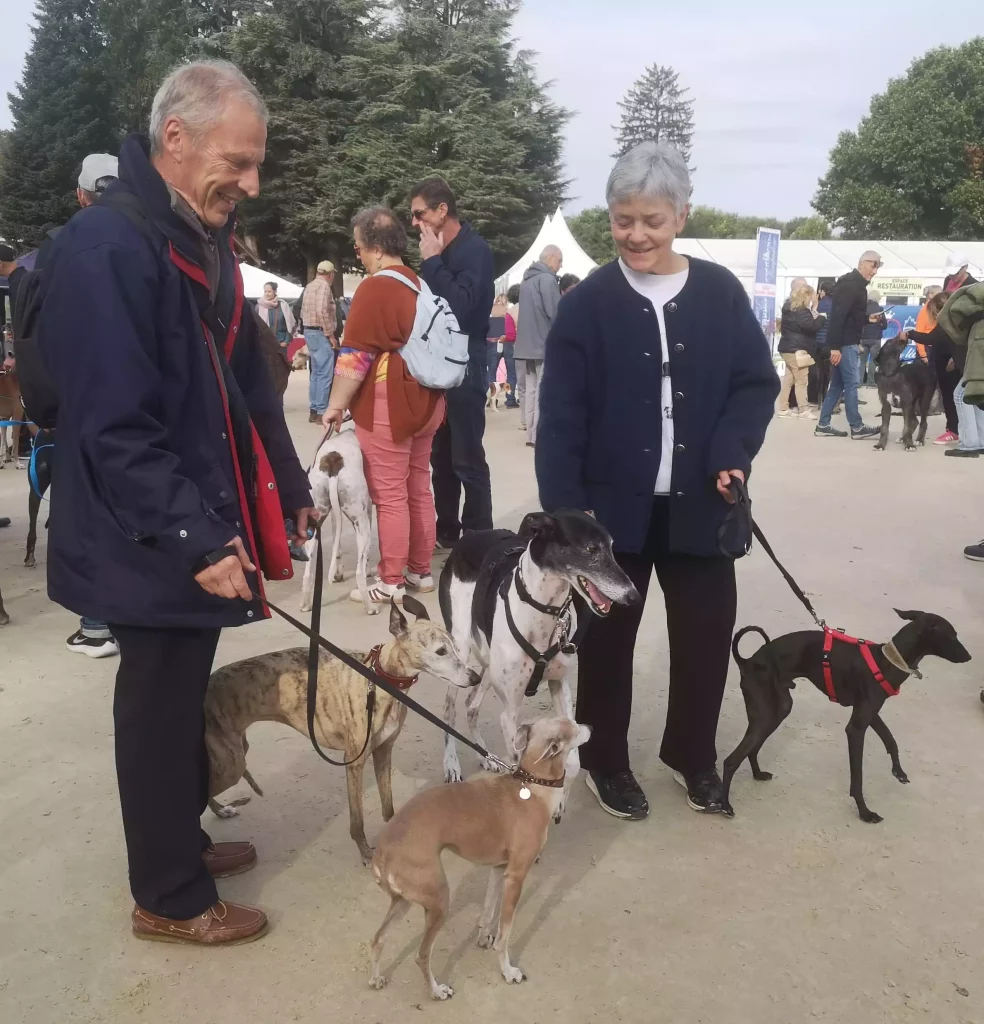 Propriétaires entourés de plusieurs lévriers : Whippets, galgo et Petit Lévrier Italien, au milieu des visiteurs sur la grande carrière.