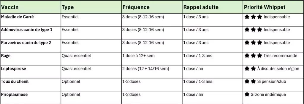Tableau récapitulatif de la vaccination du chiot Whippet et risques : type de vaccin, fréquence, rappel adulte et niveau de priorité (indispensable, très recommandé, à discuter selon région, si pension ou zone endémique).