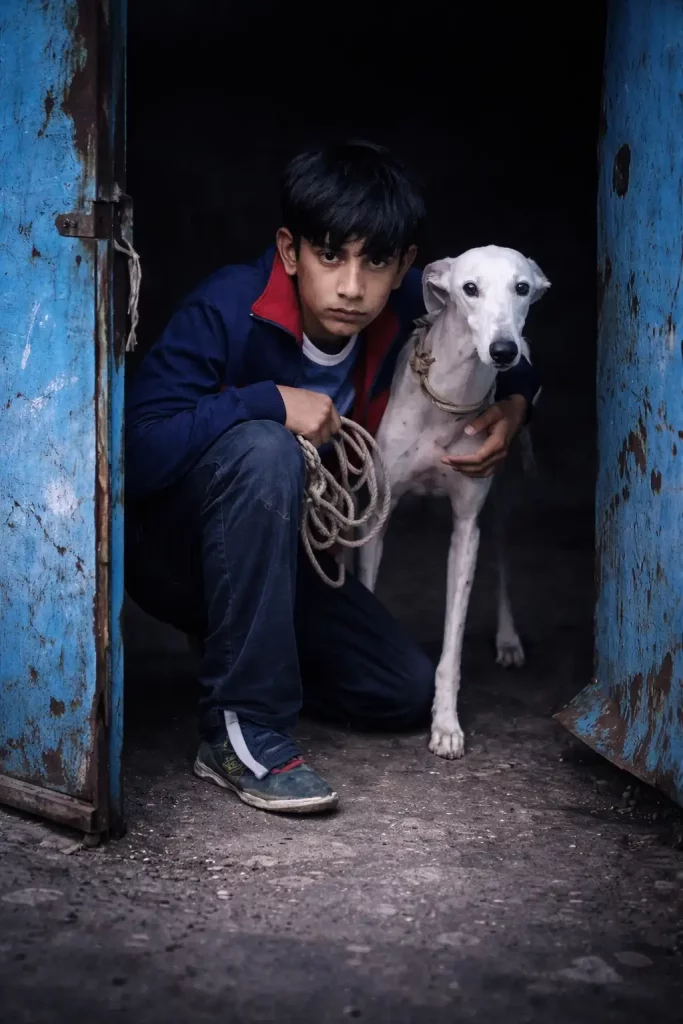 Galgo héros de cinéma : Un Jeune garçon accroupi tenant une galga blanche en laisse, tous deux cachés dans l’embrasure d’une vieille porte métallique bleue.