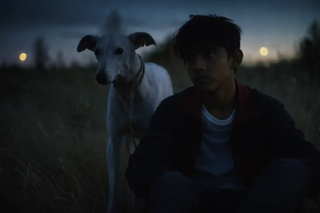 Un Jeune garçon assis dans l’herbe au crépuscule, avec une galga blanche debout derrière lui, éclairés par une lumière tamisée.