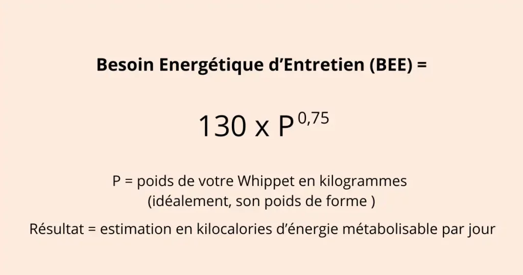 Formule du Besoin Energétique d'Entretien du chien.