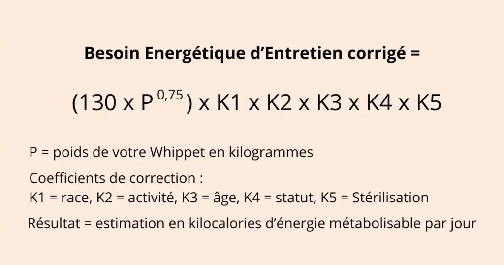 Formule du Besoin Energétique corrigé.
