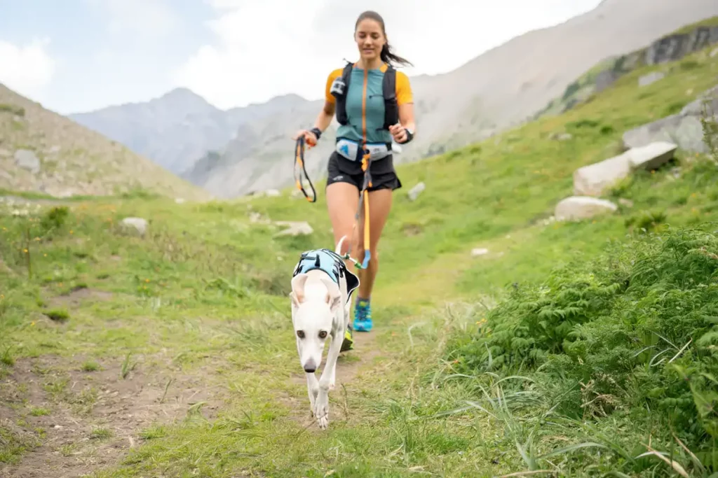 Femme en cani-rando avec un Whippet blanc sur un sentier de montagne.