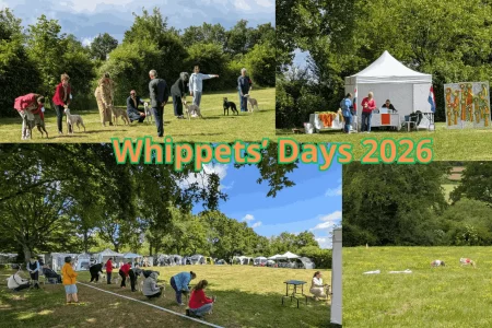 Whippets’ Days 2026 à Vieure avec Whippets en exposition canine, récompenses et épreuve de PVL en pleine nature.